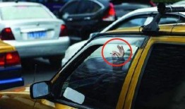 车窗抛物爆料视频下载安装,下载安装视频见证文明出行